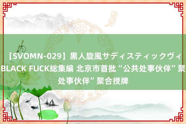 【SVOMN-029】黒人旋風サディスティックヴィレッジBLACK FUCK総集編 北京市首批“公共处事伙伴”聚合授牌