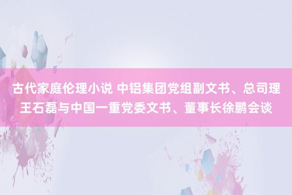 古代家庭伦理小说 中铝集团党组副文书、总司理王石磊与中国一重党委文书、董事长徐鹏会谈