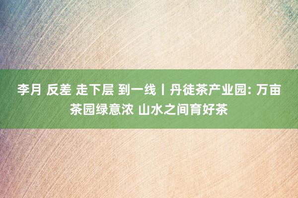 李月 反差 走下层 到一线丨丹徒茶产业园: 万亩茶园绿意浓 山水之间育好茶
