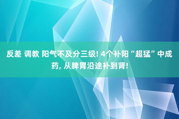 反差 调教 阳气不及分三级! 4个补阳“超猛”中成药, 从脾胃沿途补到肾!