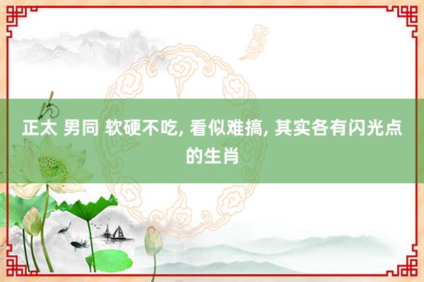 正太 男同 软硬不吃, 看似难搞, 其实各有闪光点的生肖